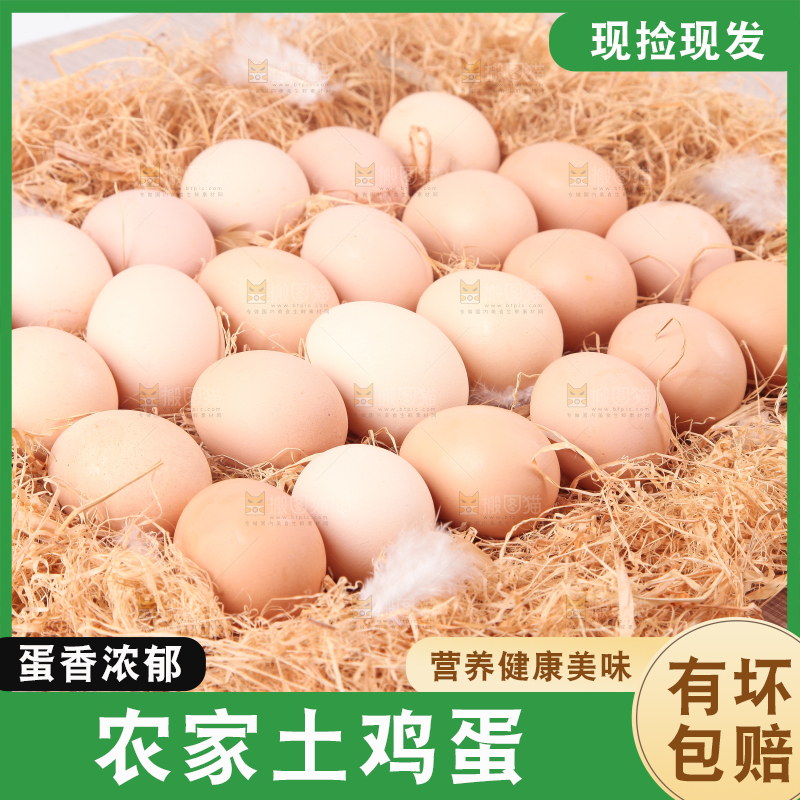 草堆上摆放着散养土鸡蛋