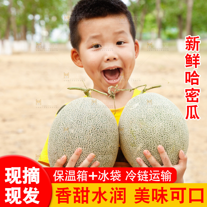 小男孩手里抱着哈密瓜