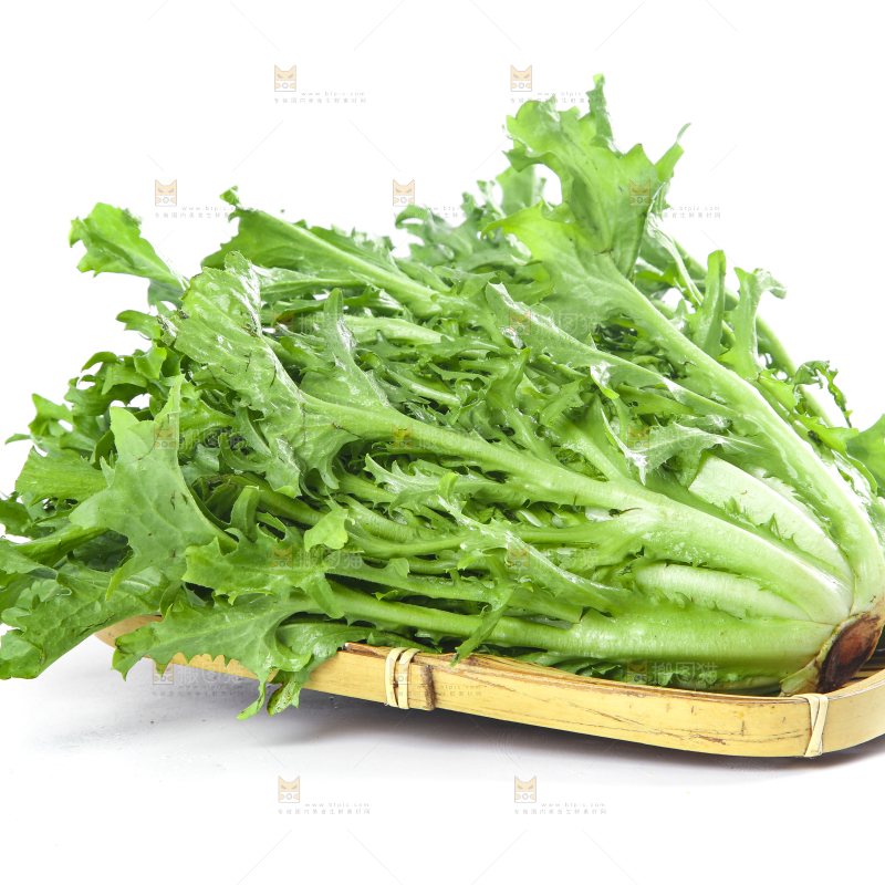 篮子里装着苦菊