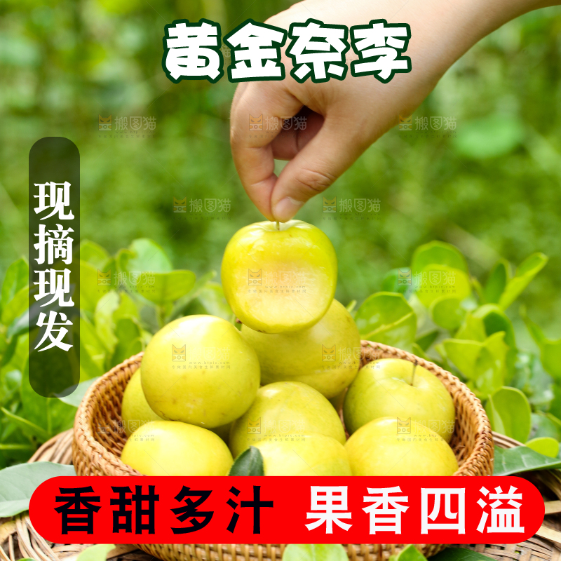 篮子里装着黄金奈李