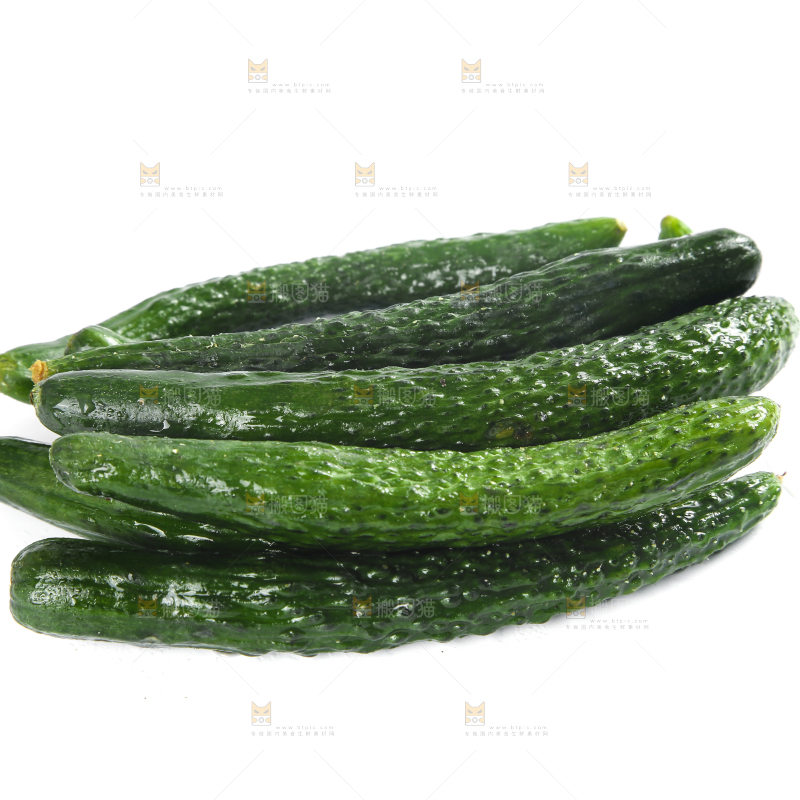 白底上摆放着新鲜黄瓜妞