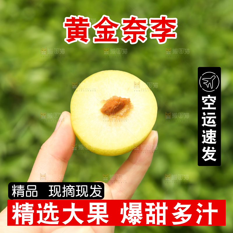 手里拿着黄金奈李