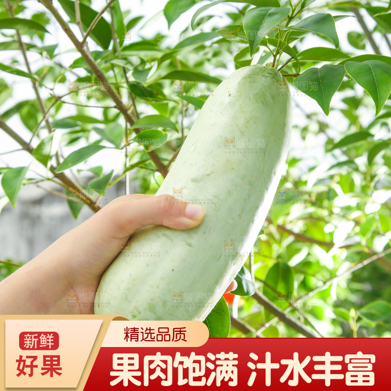 手里拿着羊角蜜
