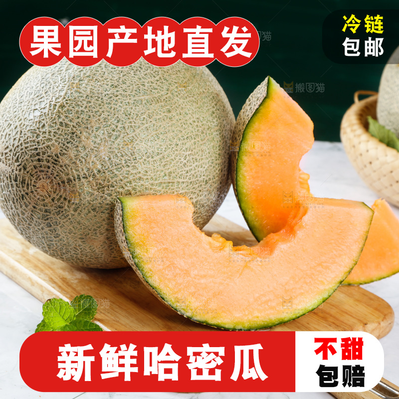 哈密瓜主图