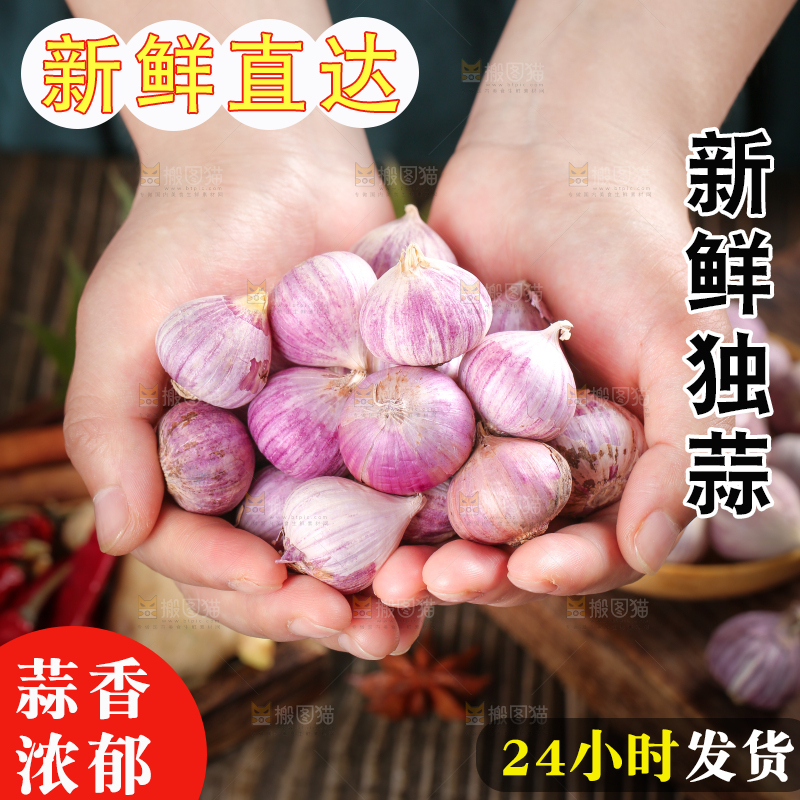 手里捧着云南紫皮独头蒜