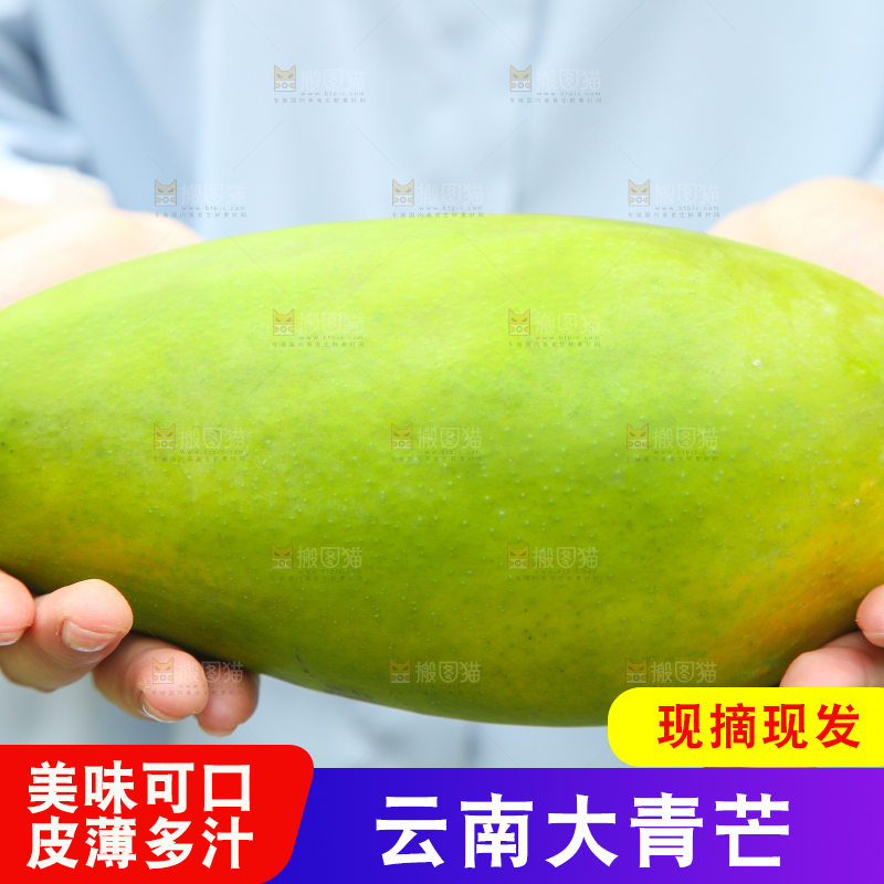手里拿着大青芒
