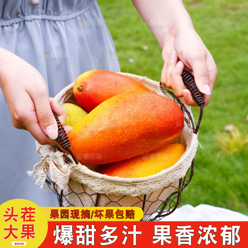 手里端着一篮海南贵妃芒