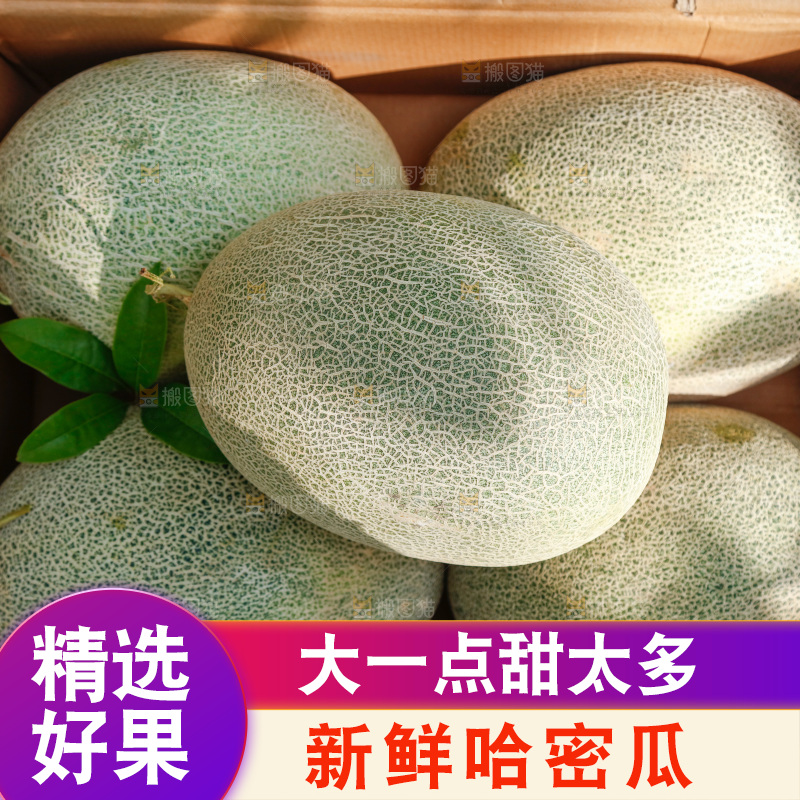纸箱里装着网纹瓜