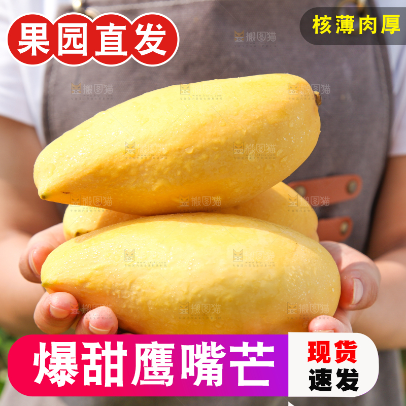 手里拿着象牙芒