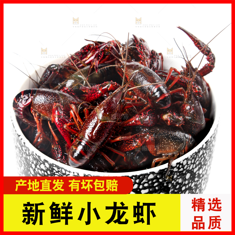 盆子里装着潜江小龙虾