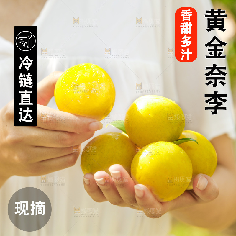 手里拿着九峰山黄金奈李