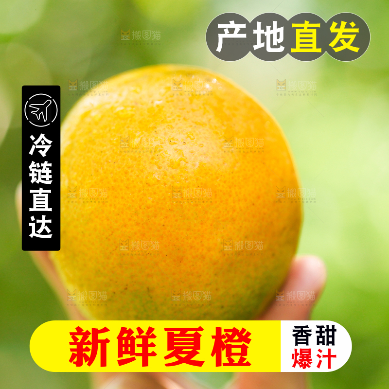 手里拿着秭归夏橙