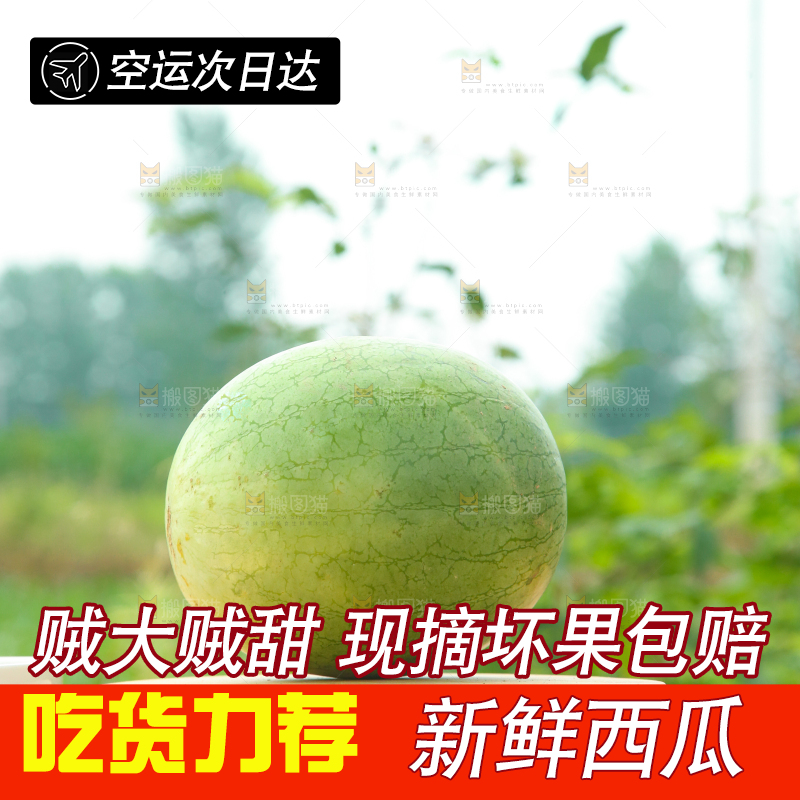 木底上摆放着西瓜
