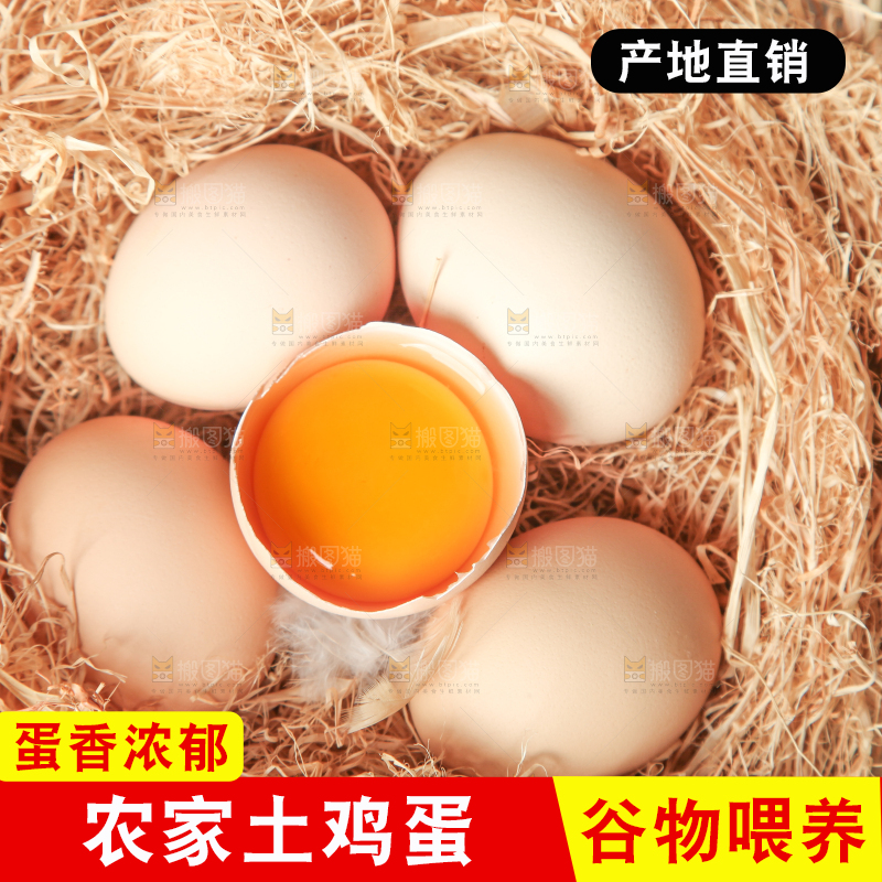 草堆上摆放着生鸡蛋