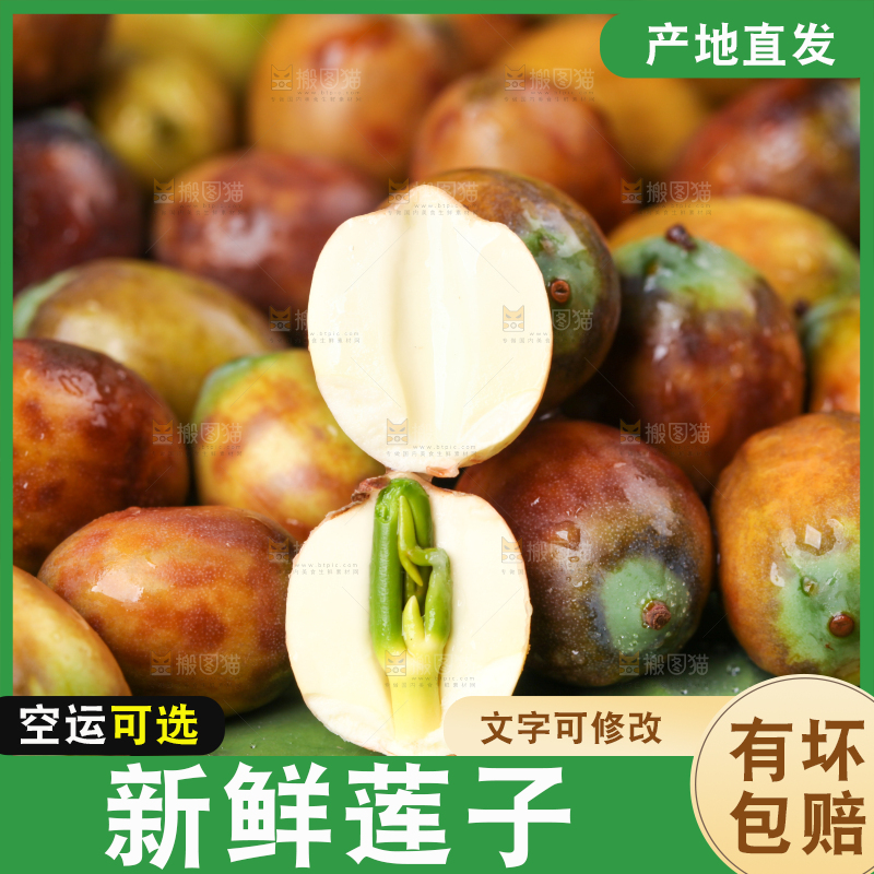 荷叶上摆放着莲蓬子