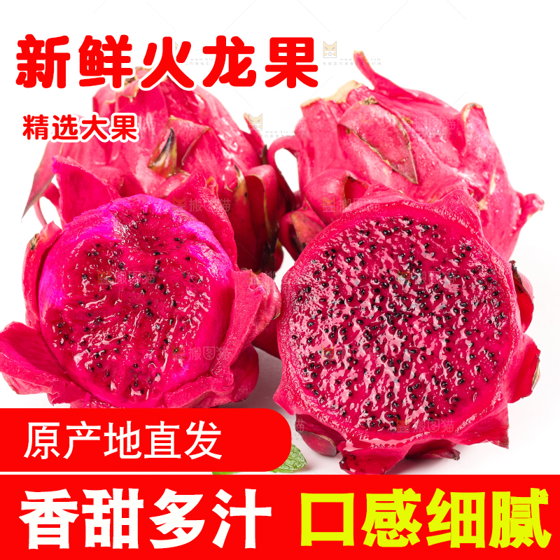 白底上摆放着火龙果