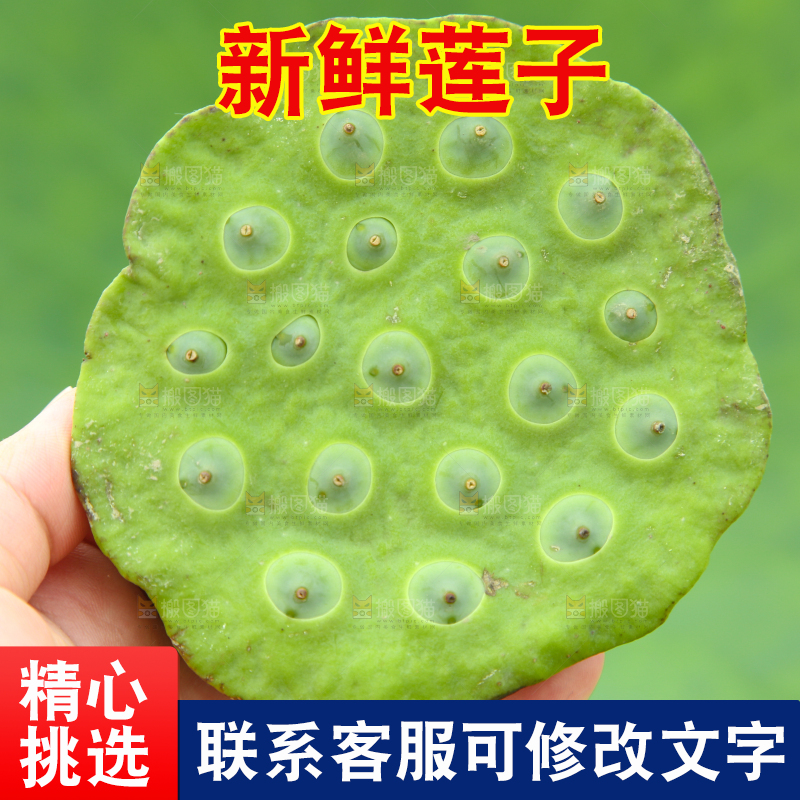 手里拿着莲蓬