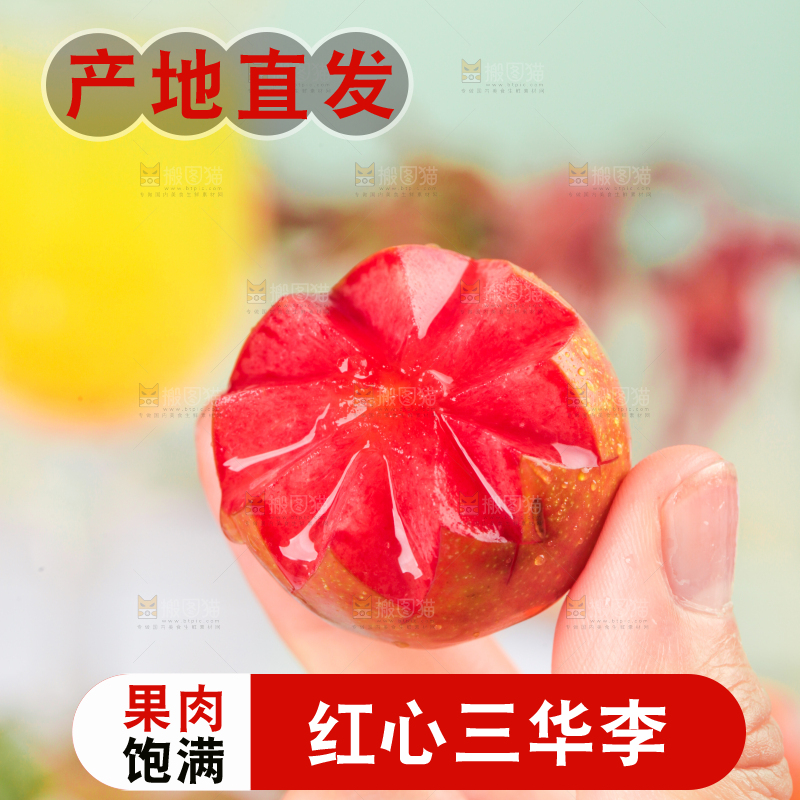 红肉三华李主图