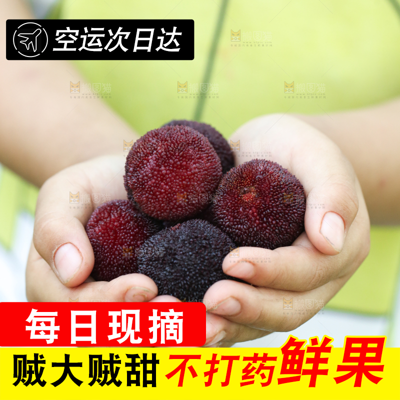 手里捧着新鲜杨梅