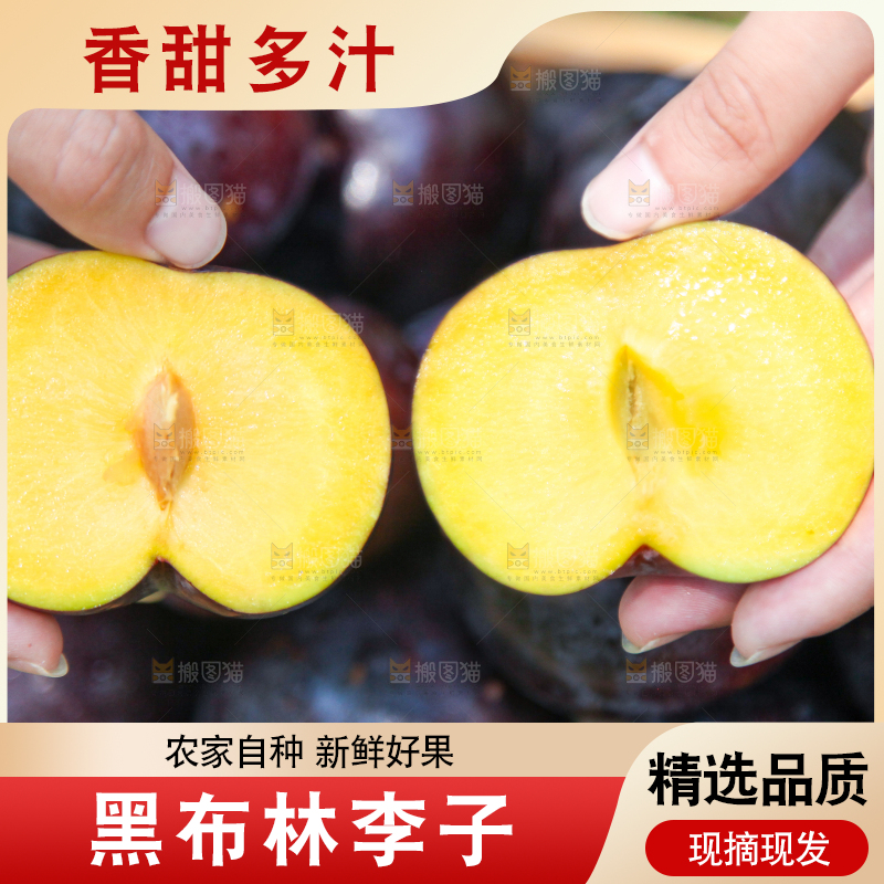 手里拿着黄肉黑布李