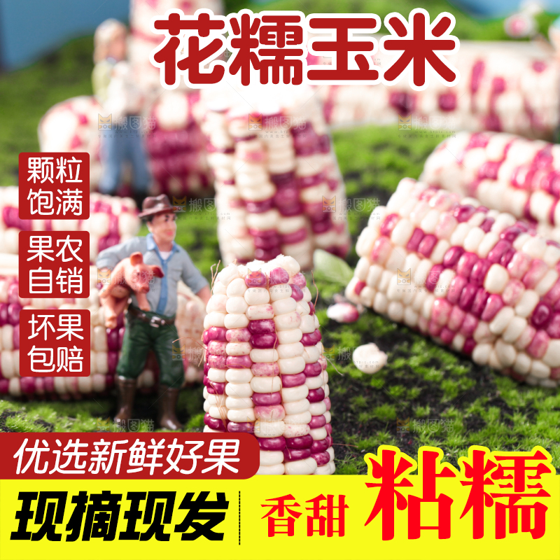 绿草地上放着花糥玉米