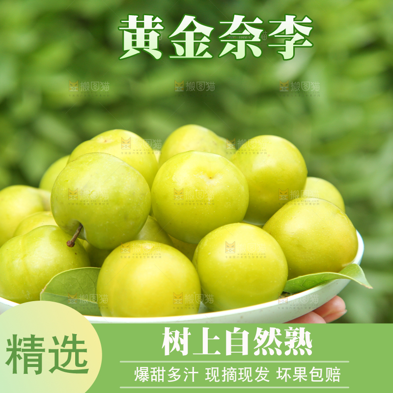 手里拿着一盘黄金奈李