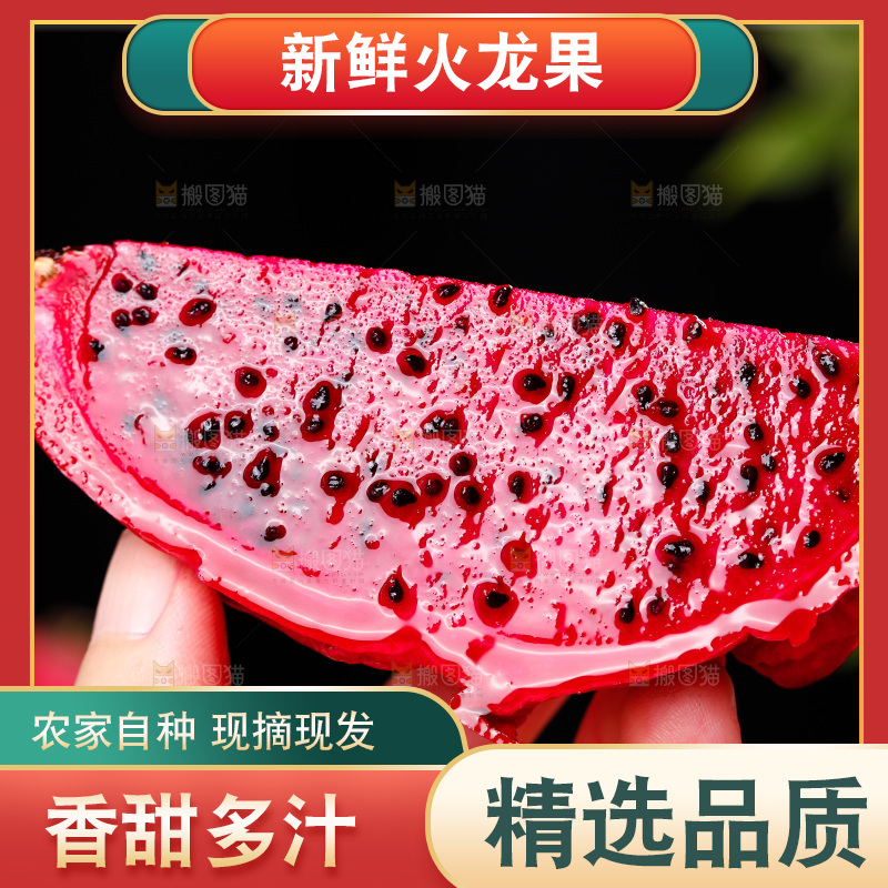 手里拿着一块火龙果