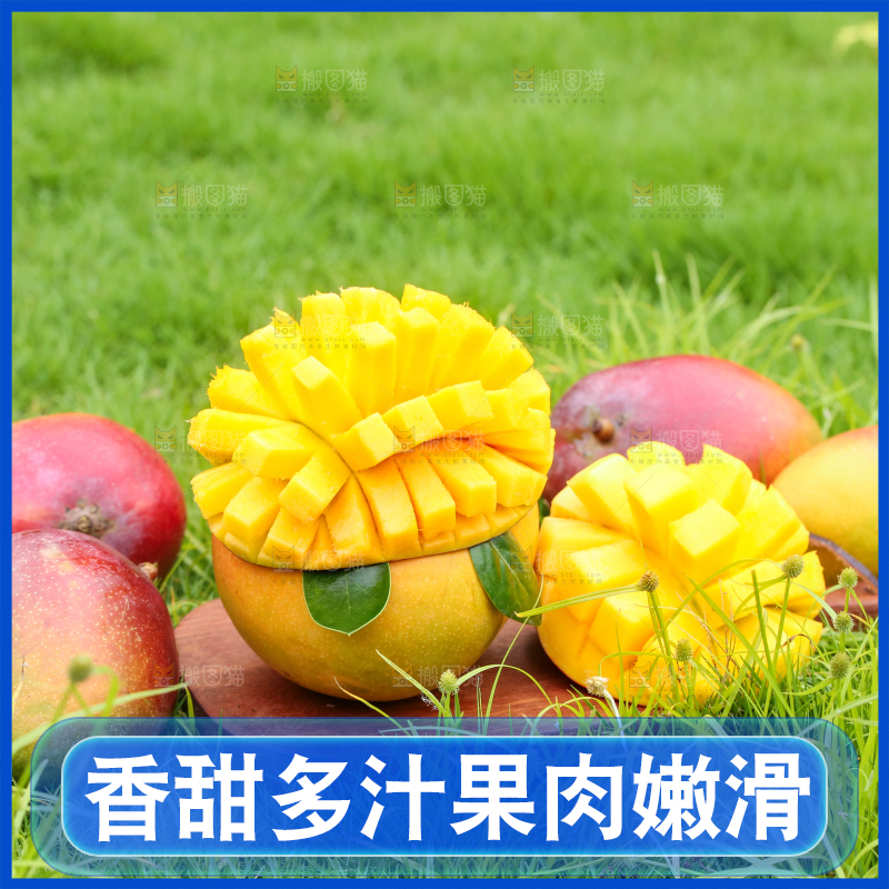草地上摆放着苹果芒