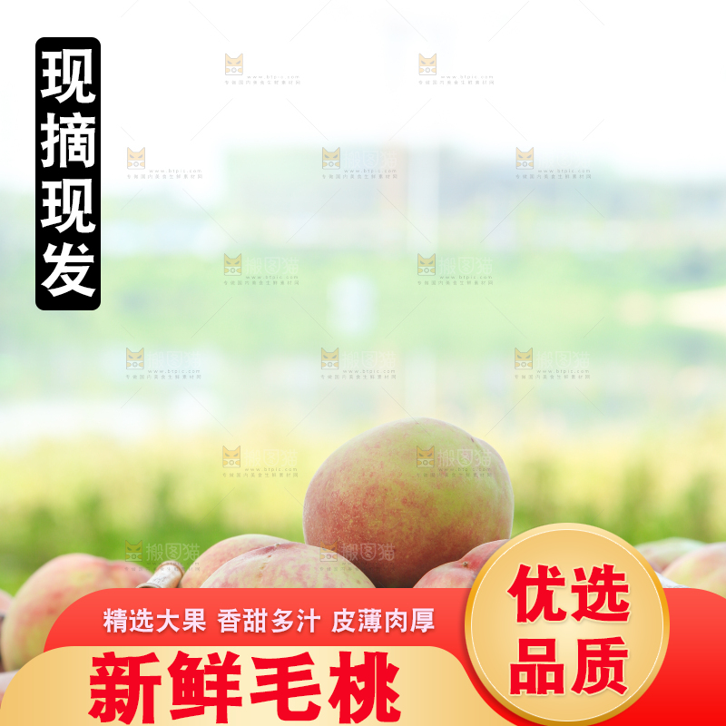 篮子里装着毛桃