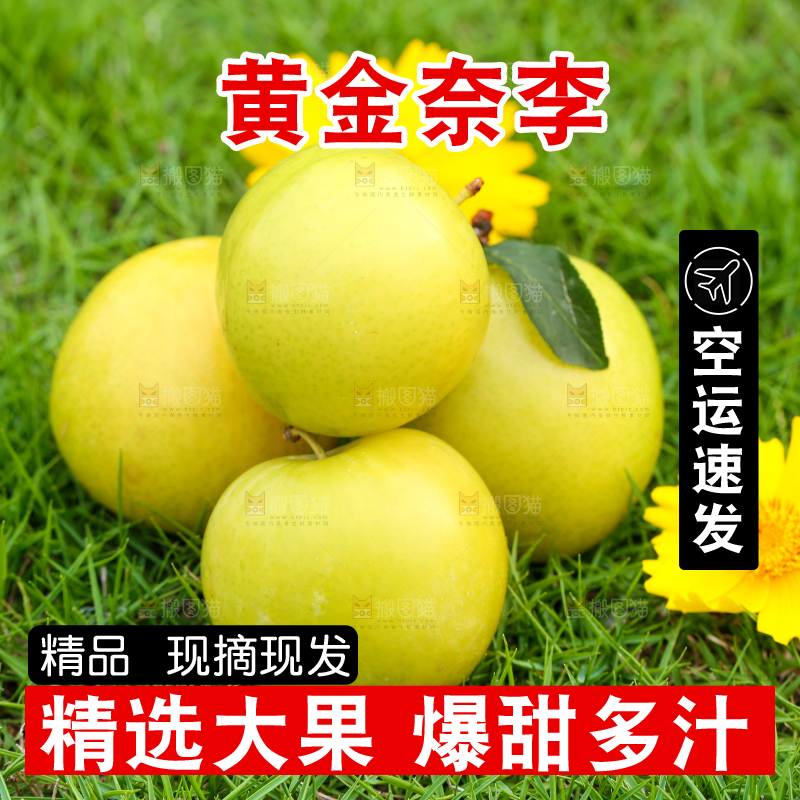 草地上摆放着黄金李