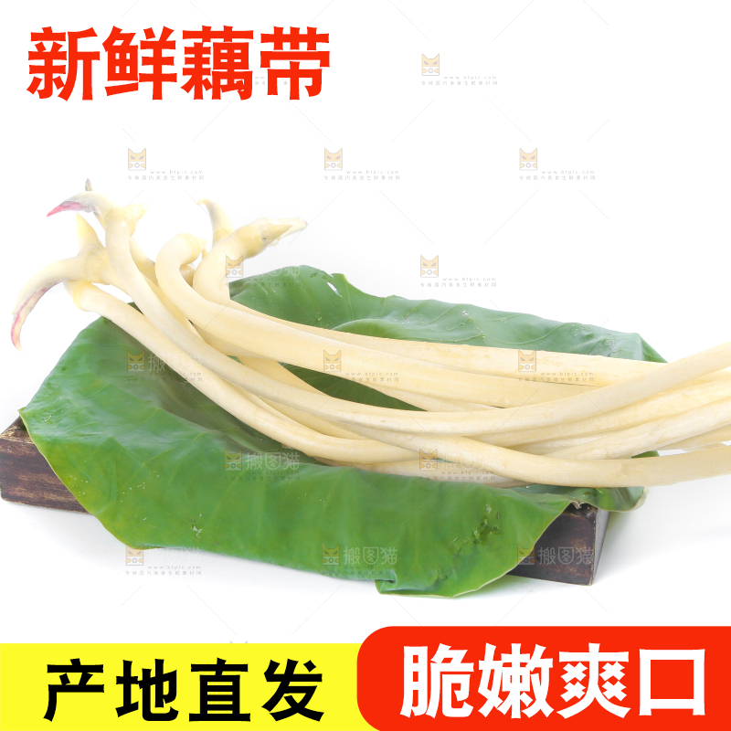 荷叶上放着新鲜藕带