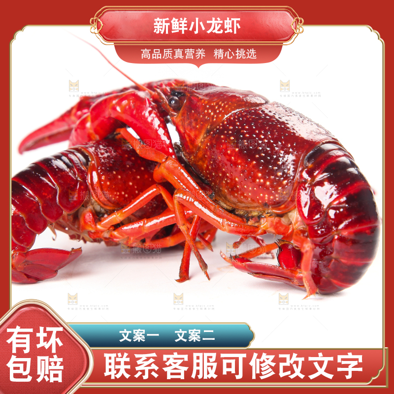 白底上摆放着小龙虾