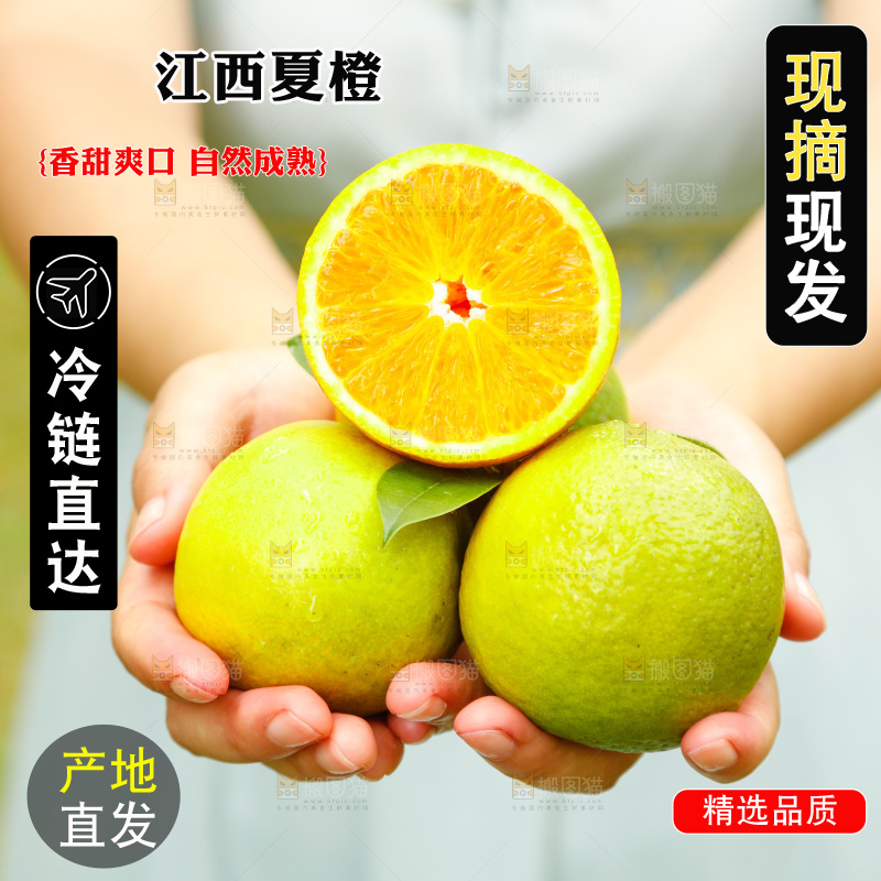 手里拿着广西桂林夏橙