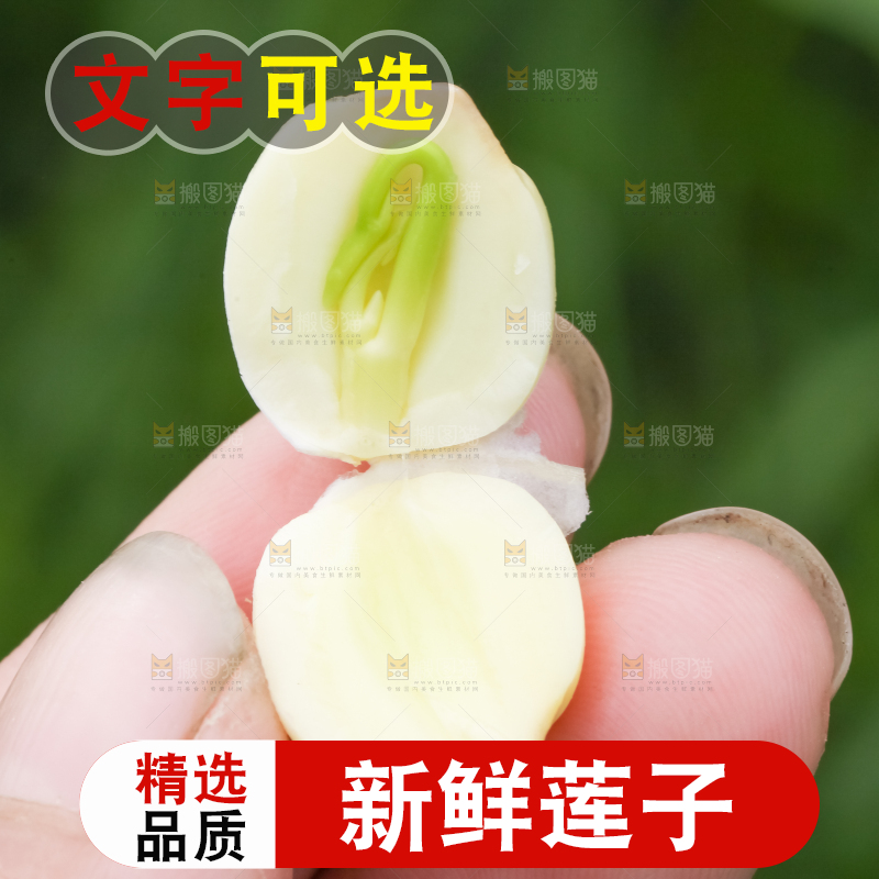 手里拿着莲子