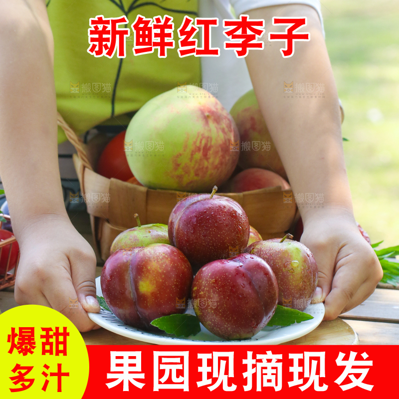 桌子上放着红李子