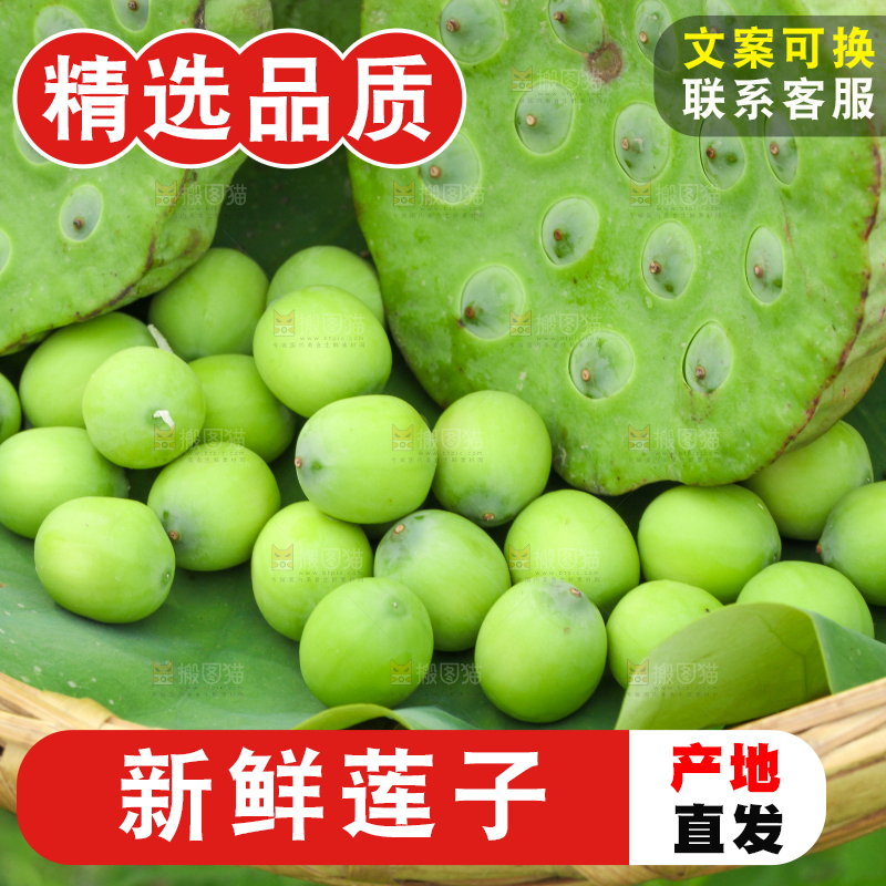 篮子里装着新鲜莲蓬
