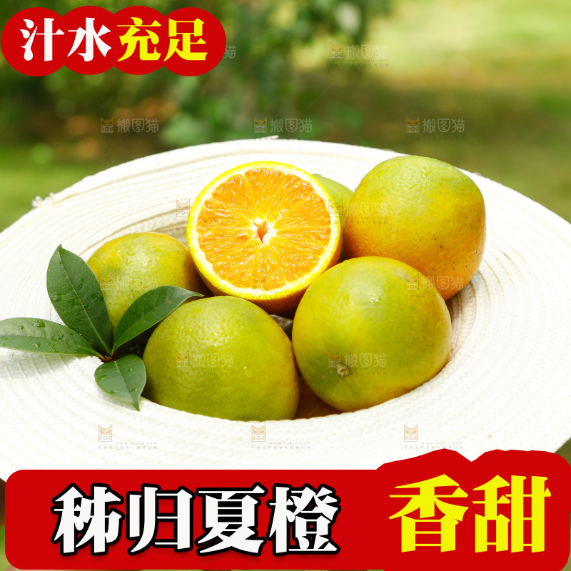 帽子里装着夏橙