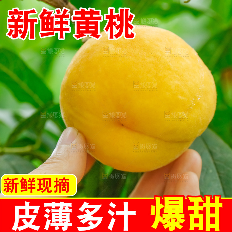 手里拿着新鲜黄桃
