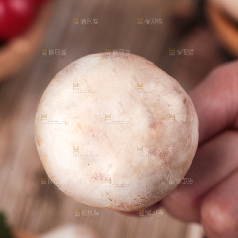 手里拿着新鲜小白菇