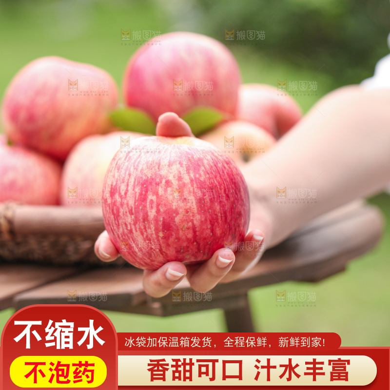 手里拿着山东烟台红富士