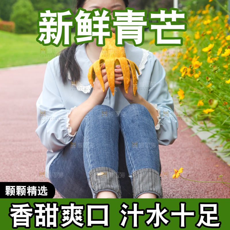 女孩正在吃青芒果