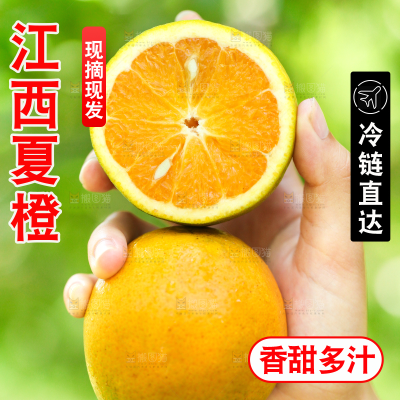 手里拿着秭归夏橙