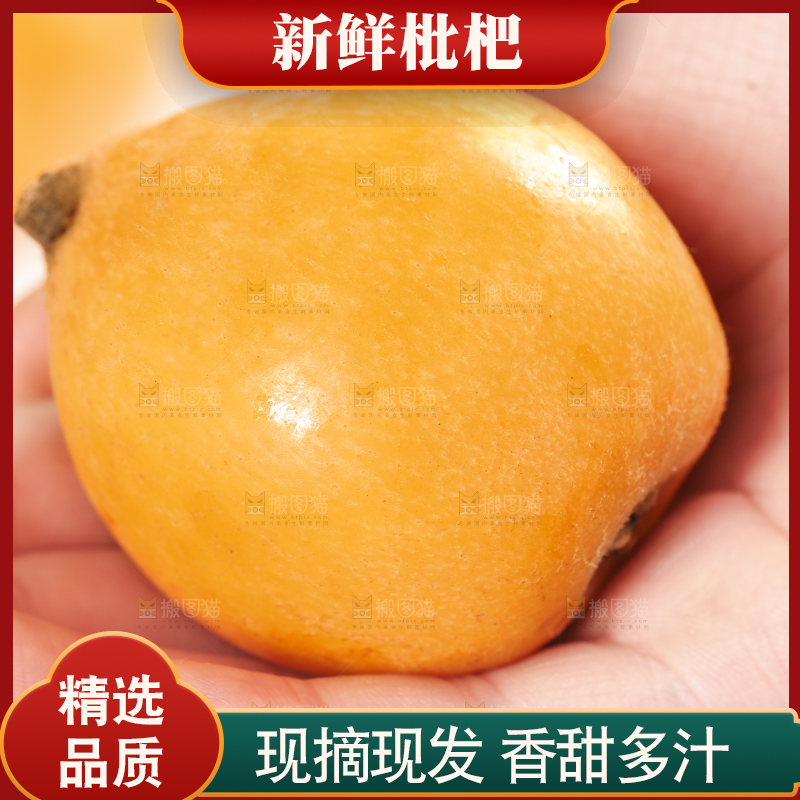 手里拿着枇杷果