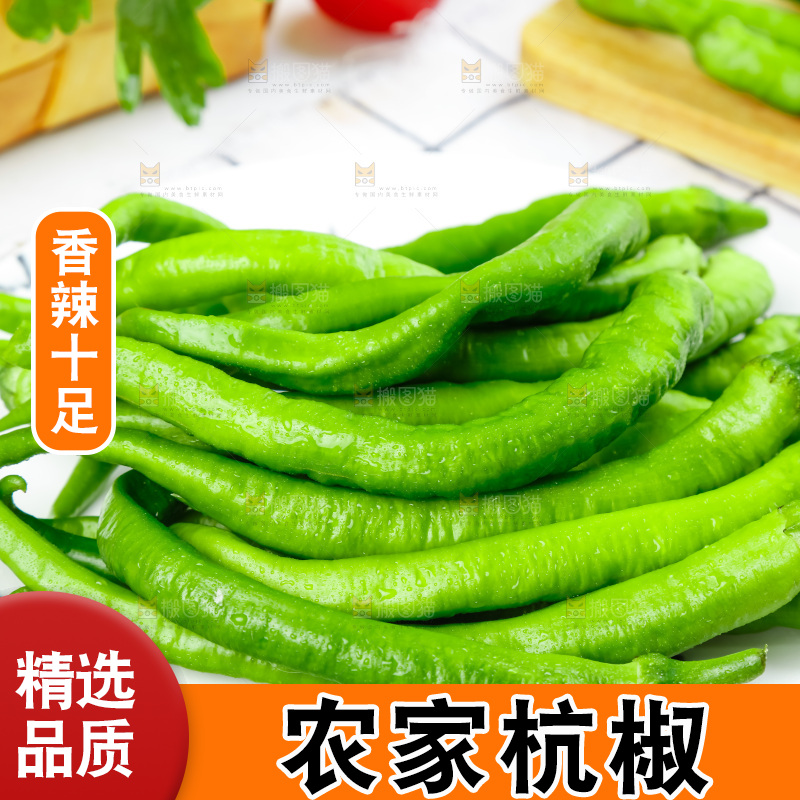 格子底上摆放着杭椒