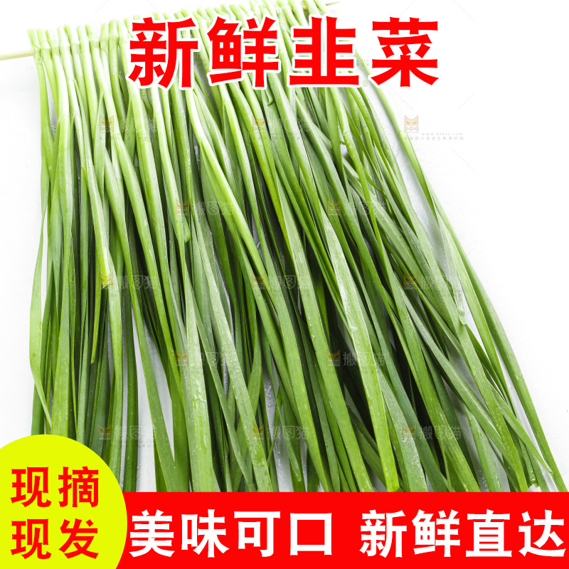 竹签上串着新鲜韭菜