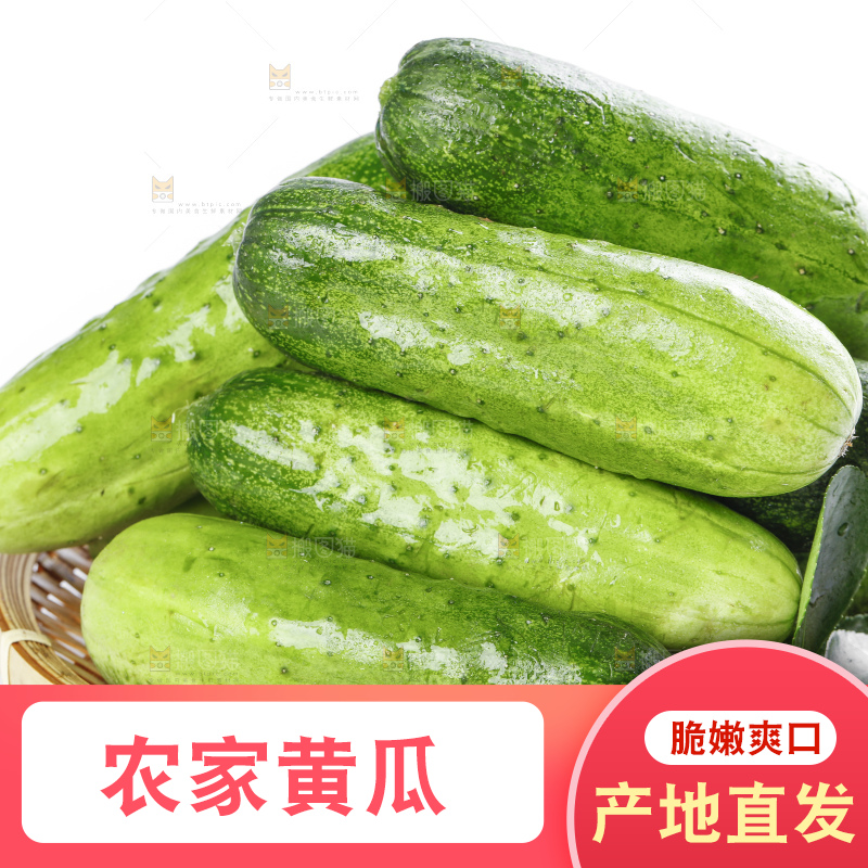 篮子里装着蔬菜黄瓜