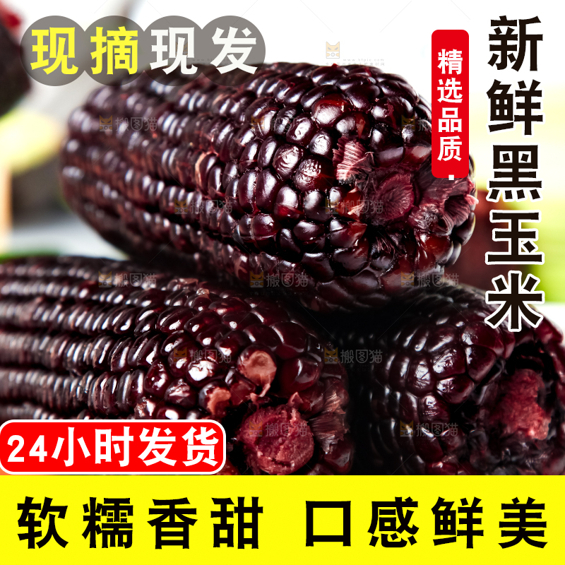 木底上放着东北黑玉米