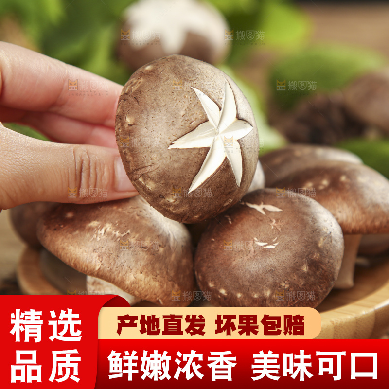 碟子里放着新鲜香菇