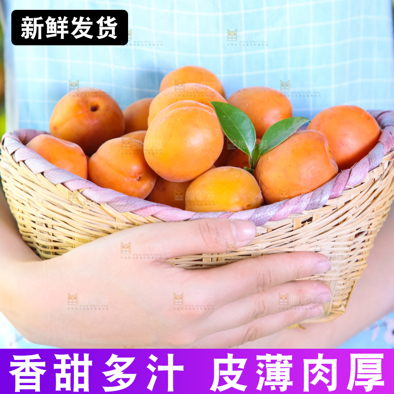 手里拿着一篮大黄杏