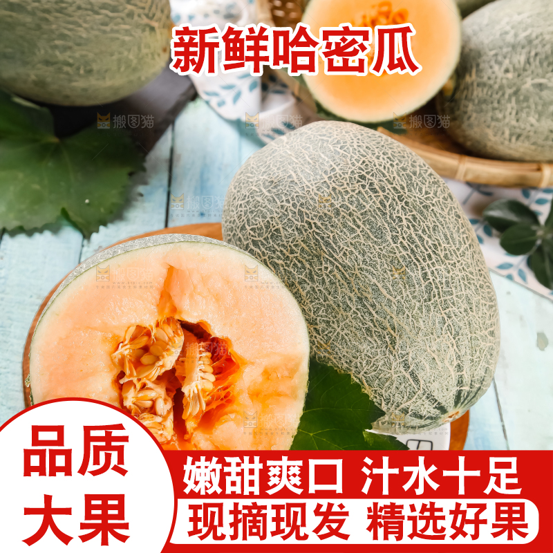 木底上摆放着网纹瓜